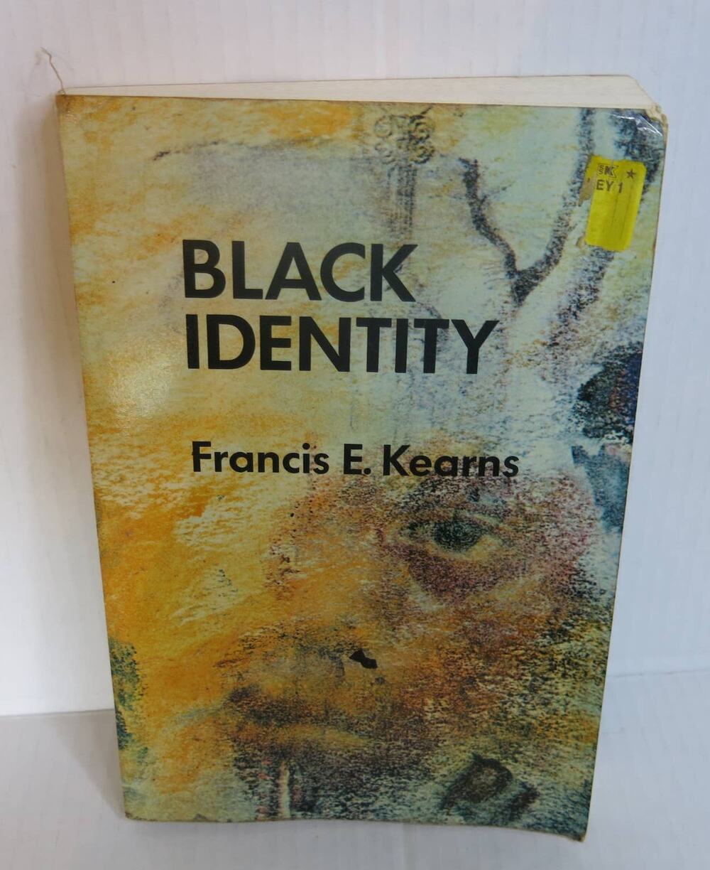 BLACK IDENTITY A Thematic Reader by Francis E Kearns Paperback 1970 Vintage Book